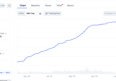 Tether may delay fundraising if demand falls short at $500B valuation: Report