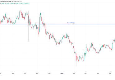 NEAR protocol leads AI token rally with a 50% pump: Is $5 NEAR price next?