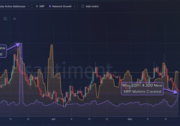 XRP adds 4,300 new wallets in 24 hours, but why is price stuck?